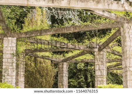 Stone pergola with its pillars and beams with climbing plants, lush green vegetation in the background in the Citadel park, sunny day in Ghent, Belgium