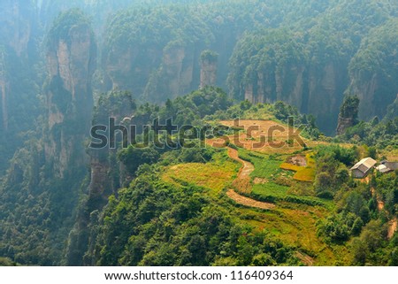 Zhangjiajie natural scenery in China ( Heavenly Garden )