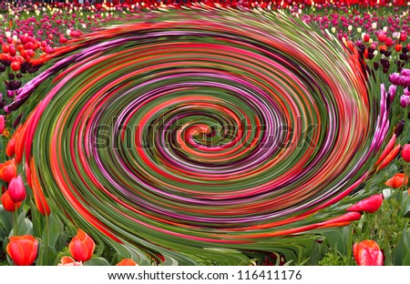 Multicolor Flower spiral pattern