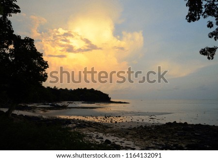 Yellow high lush cloud, backlit by the sun. Low tide on the sea beach. Stones on the beach. Trees silhouettes