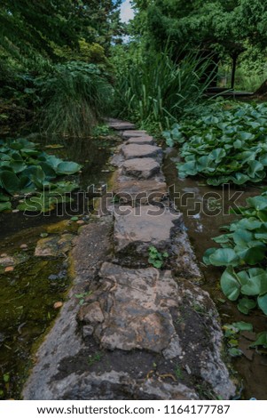 Stepping stones over a small stream with lily pads to either side