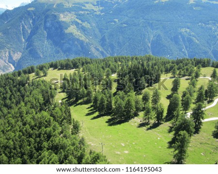 Overlooking view of a paragliding point of view of an Alpine Pasture over Vercorin - Switzerland