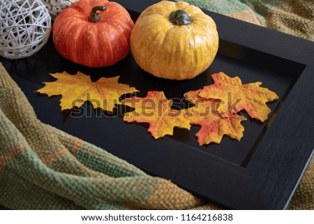 Pumpkins in wooden table with wool cozy background 