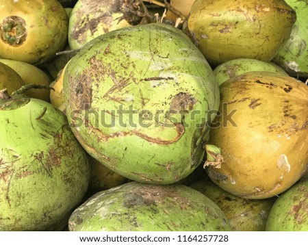 Coconut harvest. Many coconuts. Coconut for food textures. A backdrop of coconut. Street vegetable market. Group of coconuts.