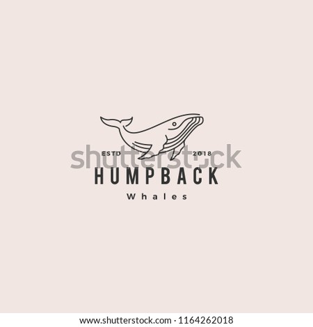 humpback whale logo hipster vintage retro icon vector illustration
