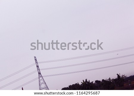 Power pole and cable wires on the left side of photo with plantation below