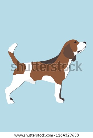 Flat Beagle Dog