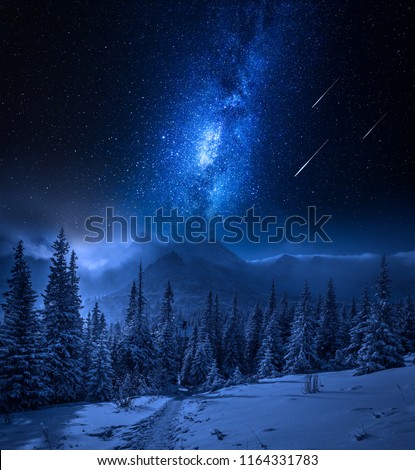 Tatras Mountains in winter at night with falling stars, Poland