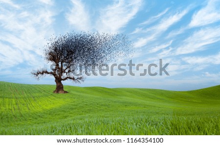 Silhouettes of flying birds and dead tree against bright blue sky
