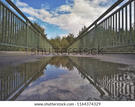  puddle on a bridge into a forest