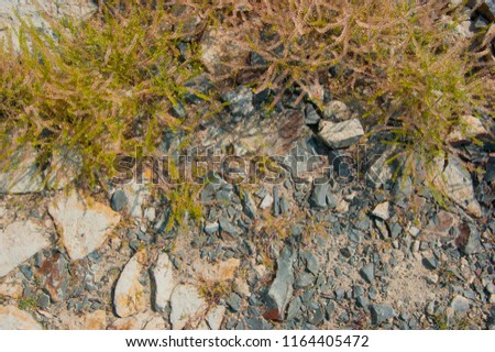 Earth, grass and stones for background
