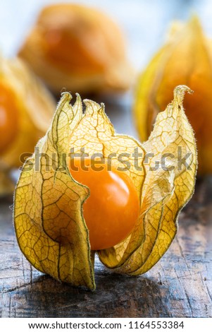 Physalis fruit (Physalis Peruviana) with husk on wooden background - closeup Royalty-Free Stock Photo #1164553384
