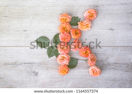 K, roses flower alphabet isolated on gray wooden background, flat lay
