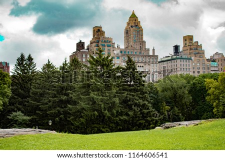central park landscape with pines and buildings on the background , famous spot to take a picture in New York City