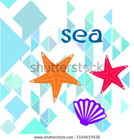 starfish shell sea vector background