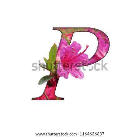 pink pop up flower alphabet to decorate your brochures and letters, give them a seasonal touch.Font or consonant form flora.letter p.