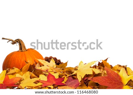 Autumn leaves with pumpkin