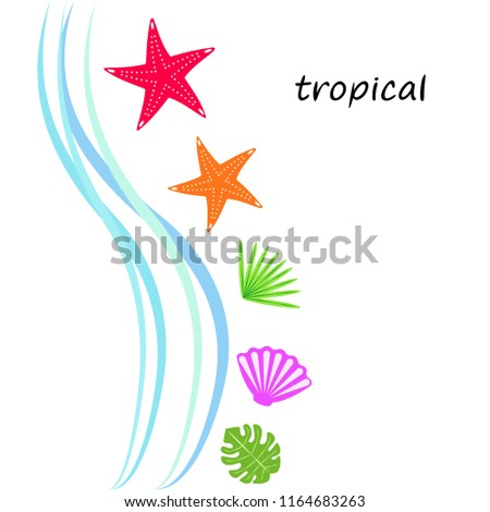 starfish shell tropical plant vector background
