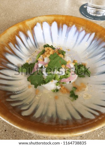 Halibut ceviche with red onions and cilantro
