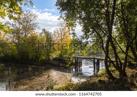 view of an old bridge over a pond in a park, autumn landscape