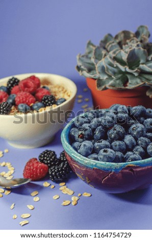 Healthy breakfast. White plate with oatmeal strewn and different berries on a blue background.