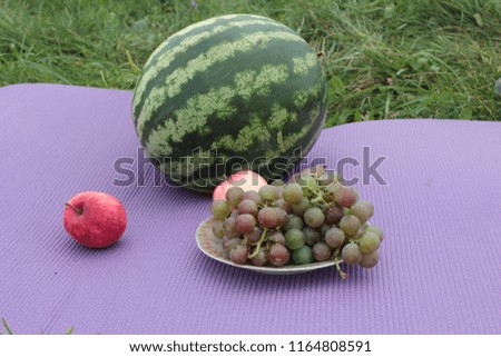 picnic in the nature, fruit