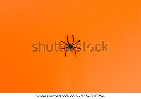 black spider on an orange background. Happy Halloween!