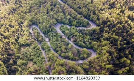 Aerial view of winding road in high mountain pass trough dense green pine woods.
