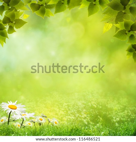Beauty natural backgrounds for your design Royalty-Free Stock Photo #116486521