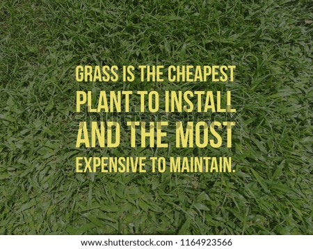 grass is the cheapest plant to install and the most expensive to maintain quote
