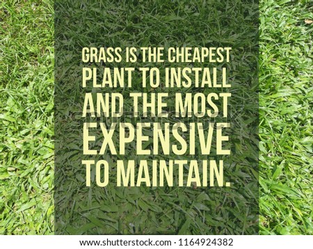 grass is the cheapest plant to install and the most expensive to maintain quote