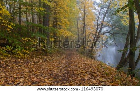 walkway next to Schwandorf in Bavaria in fall
