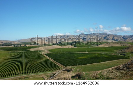 Endless vineyards accross Awatere Valley,Marlborough,New Zealand with the 