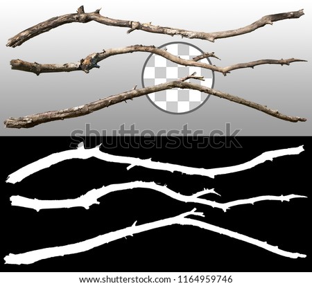 Old tree branch. Dry dead branches isolated on transparent background via an alpha channel of great precision. High quality mask without unwanted edge. High resolution for professional composition