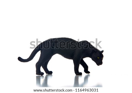 Black Leopard in front of a white background
