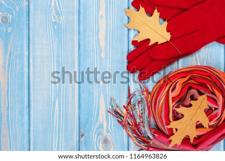 Woolen gloves, colorful shawl for woman and autumnal leaves on old boards, warm clothing for autumn or winter, place for inscription