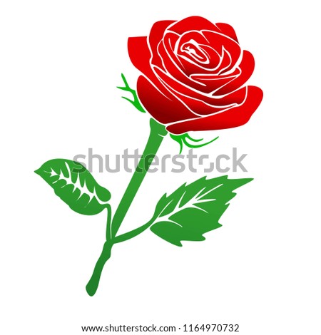 Red Roses flowers

 Royalty-Free Stock Photo #1164970732