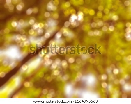 Golden heaven purple light and love hearts sign Hope concept abstract blurred background evening sunset scenario by nature light blasting sun with rays and reflections and ramadan month