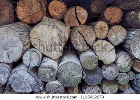 Group of wooden trunks in a pile