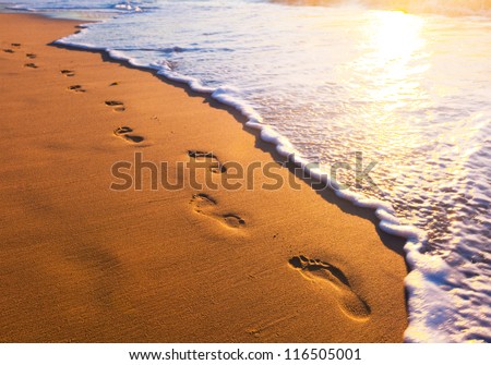 beach, wave and footsteps at sunset time Royalty-Free Stock Photo #116505001