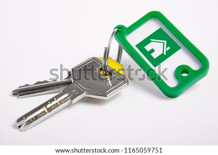 Key ring with keys over white background. Rent, buy