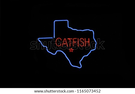 Neon Texas Cafe Sign, Photo Composite Image Catfish