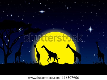 night sky with stars and full Moon in safari, vector illustration