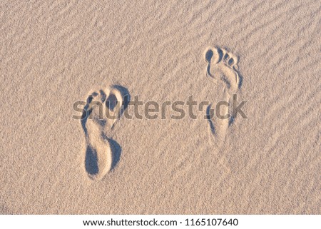 foot print in sand dunes
