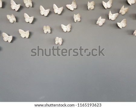 White butterfly - butterfly background  with gray wall 