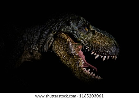 The head of dinosaur in the dark background Royalty-Free Stock Photo #1165203061