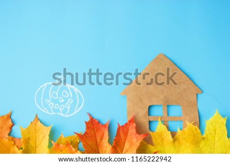 30 october. halloween concept. pumpkins and autumn leaves