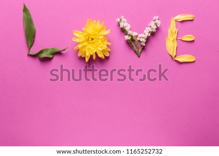 Word LOVE made of beautiful flowers and leaves on color background