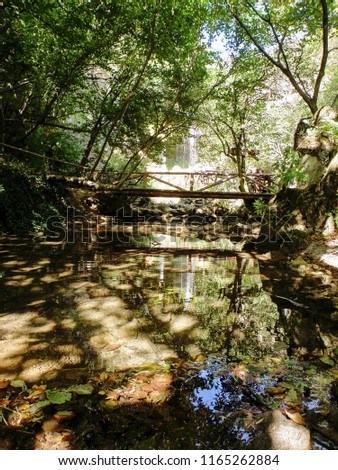 Bridge on the River in Forest with reflection