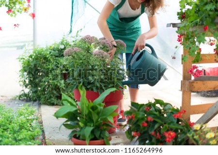 Watering the flowers